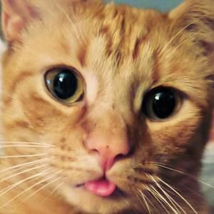 Meet your Posher, Jacqueline